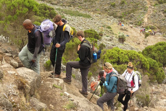 The Best & Unique Kilimanjaro Hiking tour 7 days Machame route - Moshi to Machame Gate: where the trip starts and how it runs