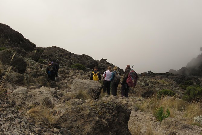 The Best & Unique Kilimanjaro Hiking tour 7 days Machame route - Day 6 (Barafu to Uhuru Peak to Mweka Camp): midnight summit push reality