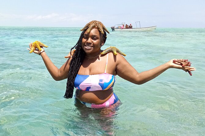 The Rock Restaurant & Blue Lagoon Half Day Tour in Zanzibar - Michamvi Kae: the short starfish spotting stop