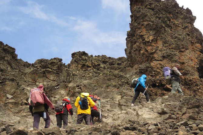 The Ultimate 8-day Lemosho route Climbing Kilimanjaro - Summit Day and Day 8 to Mweka Gate: effort, then relief
