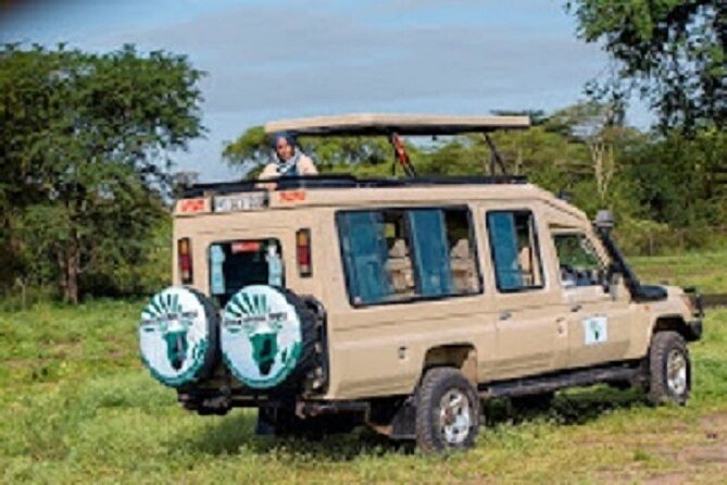 The World's Best 1 Day Tarangire Budget Group Safari From Arusha - Key things to know before you go