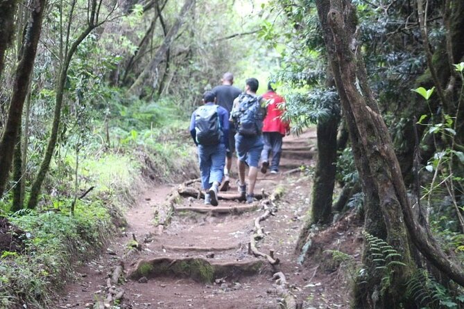 Top 5 Days Kilimanjaro Hiking | Climbing Tour by Marangu Route - Day 3: Saddle between Kibo and Mawenzi to Kibo, then summit prep