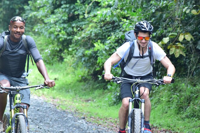 Top 6 Days Mt. Kilimanjaro Bike trek Tour by Marangu-Kilema Route - Day 5: 4:00 am zigzags, Hans Meyer’s Cave, Gilman’s Point, Uhuru Peak, then downhill to Stella Point