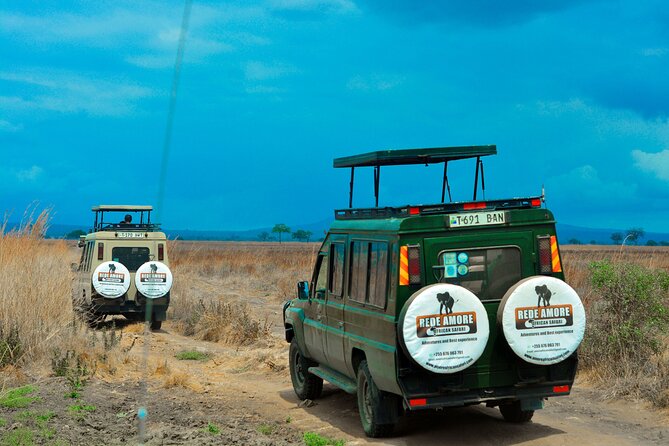 Top Best 5 Days Tanzania Luxury Safari to Serengeti - Tarangire National Park on Day 1: elephants, baobabs, and calmer vibes