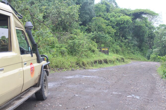 Tour at Arusha National Park - Your route in the park: Mount Meru as the day’s backdrop