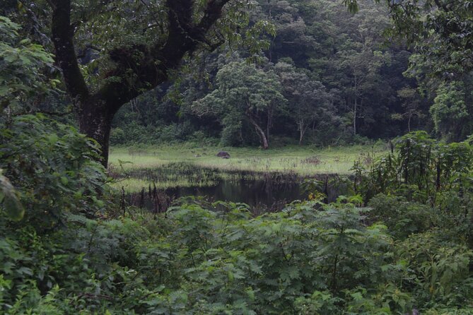Tour at Arusha National Park - Momela Lakes: where the colors guide your eyes