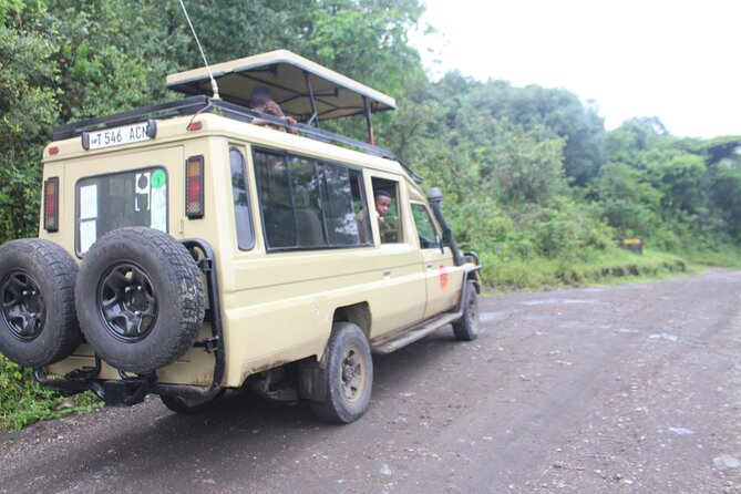 Tour at Arusha National Park - Ngurdoto Crater: dramatic terrain that can deliver animal encounters