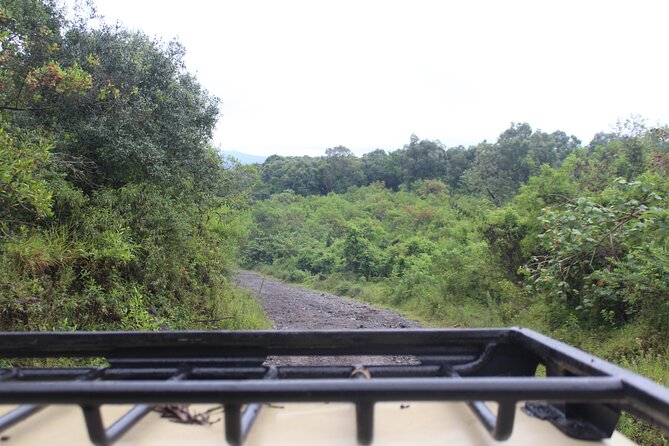 Tour at Arusha National Park - Picnic lunch inside the park, and why that detail matters