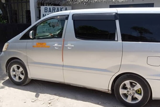 Transport in Zanzibar - What happens when you land at Zanzibar International Airport