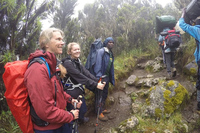 Trek To Mount Kilimanjaro - Day 1 in Kilimanjaro National Park: Getting Your Bearings