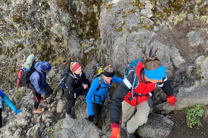 Trek To Mount Kilimanjaro - Day 2 on Mount Kilimanjaro: The Practical Reality of a Short Timeline