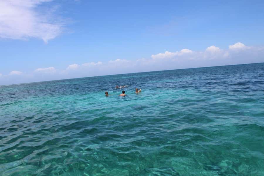 Tumbatu island snorkling tour : from Kendwa & Nungwi - Key Things You’ll Notice on This Tumbatu Snorkelling Tour