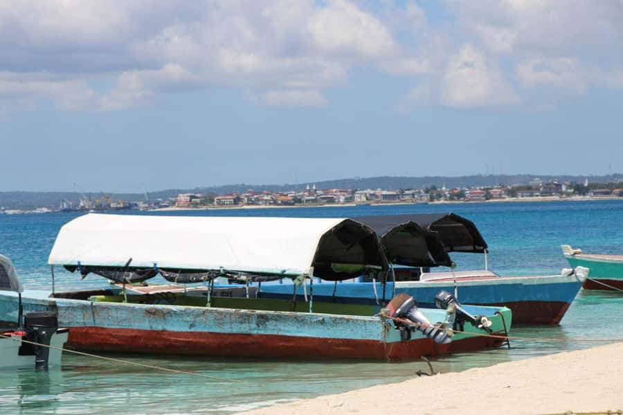 Tumbatu island snorkling tour : from Kendwa & Nungwi - Who This Tour Fits Best (and Who Should Skip It)