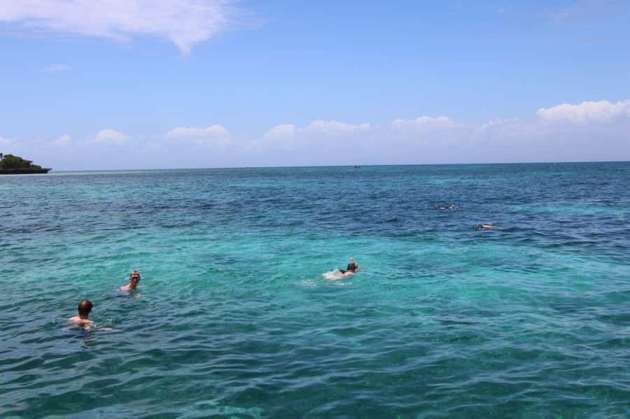 Tumbatu island snorkling tour : from Kendwa & Nungwi - How the 3-Hour Trip Flows: Pickup, Boat Ride Legs, Reef Time, Beach Time