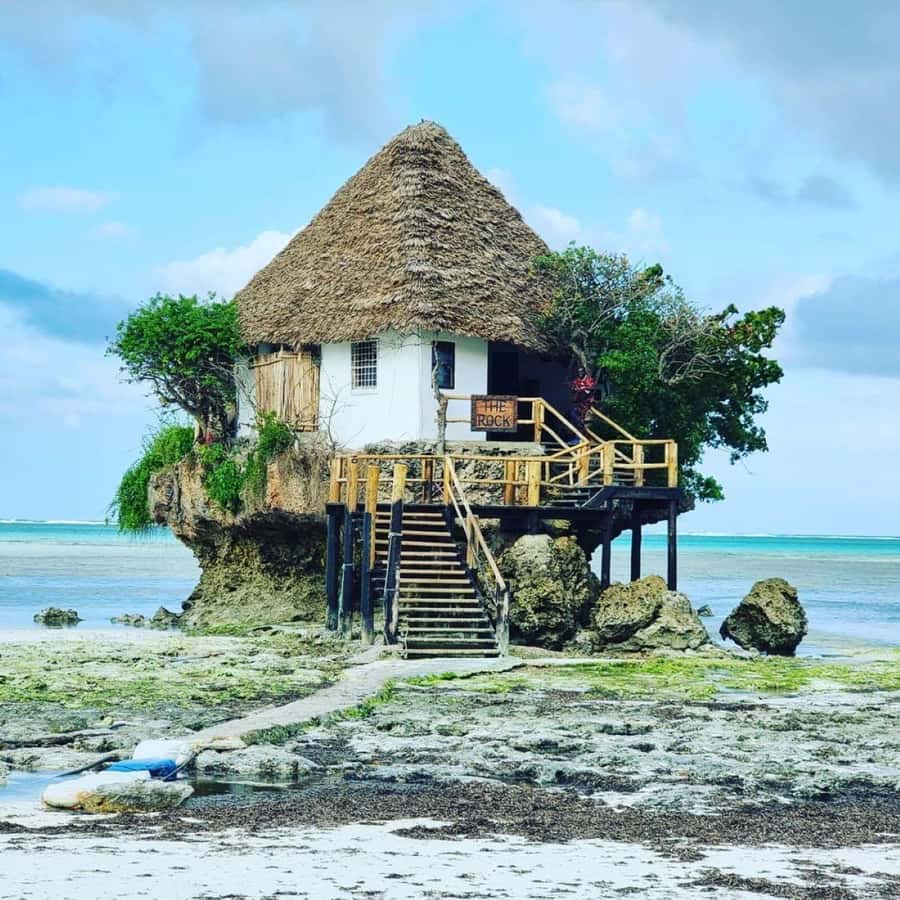 Turtle Snorkeling, Jozani Forest, Kuza Cave, Rock Restaurant - Price and Logistics: What $150 Buys in a 9-Hour Private Day