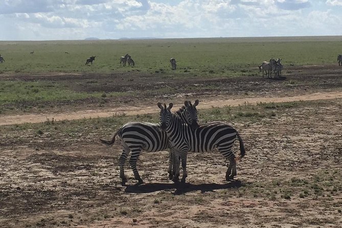 Ultimate Guide For The Best 4-Days Serengeti Safari in Tanzania - Key things I’d circle before you book