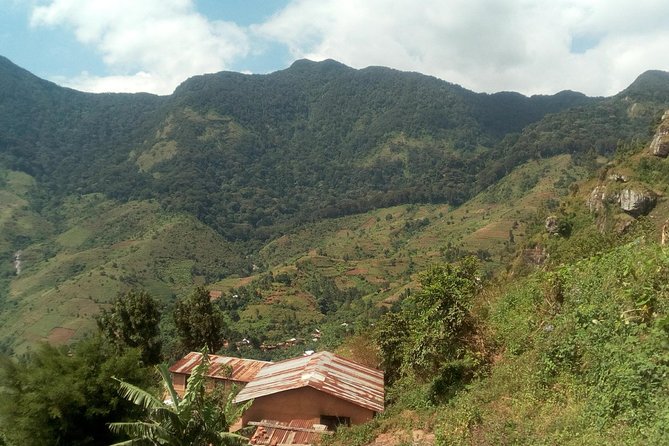 Uluguru mountain overnight 2 nights 3 days - Day 2: Bondwa Peak climb to camp, plus strawberry farms and sunset chances