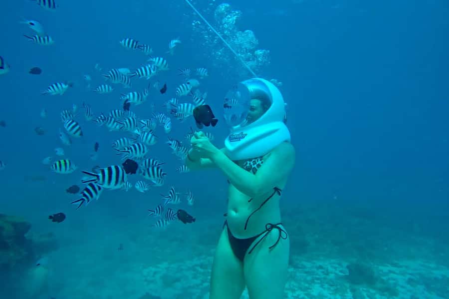 Underwater Walking Experience in Zanzibar,No Swimming Needed - Safety rules and what they mean for your real comfort