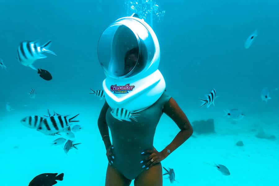 Underwater Walking Experience in Zanzibar,No Swimming Needed - Who should book Zanzibar Sea Walk, and who should skip it