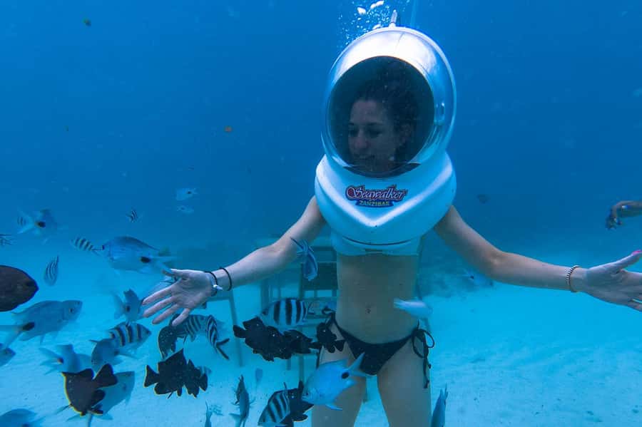 Underwater Walking Experience in Zanzibar,No Swimming Needed - Price and value: what $60 buys on Zanzibar’s Nungwi coast