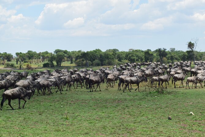 Unforgettable 4 Days Tanzania Private Budget Safari Tour - Logistics you should plan for before you go