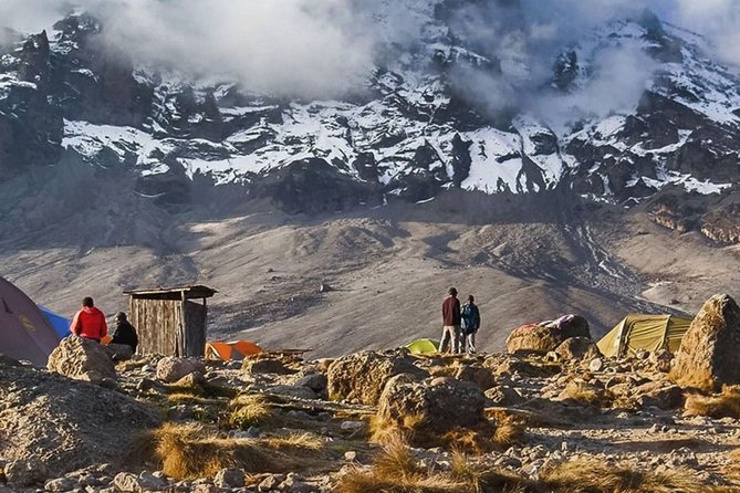 Unforgettable 8 Days Lemosho Route Trekking on Kilimanjaro - Day 3: A gentler plateau day across moorland meadows toward Shira Camp two