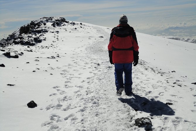 Unforgettable 8 Days Lemosho Route Trekking on Kilimanjaro - Day 1: From Moshi to Londorossi Gate, then into the forest to Mti Mkubwa