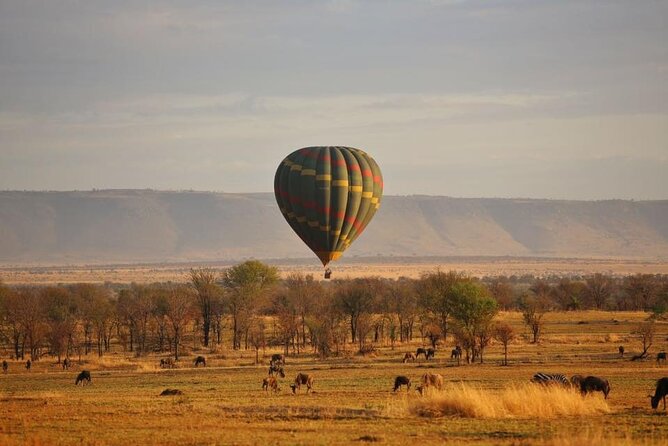 Unforgettable Tanzania Safari And Zanzibar Beach - Entering Tanzania via Moshi and Arusha, then easing into safari