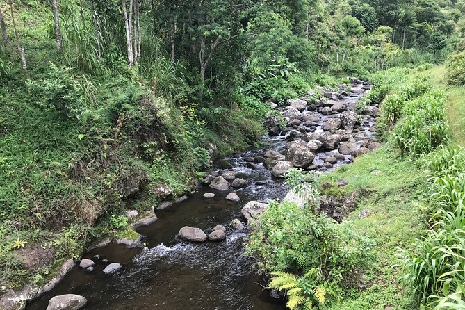 Unzip Hidden Tanzania's Attractions - Meeting Lazaro Mtui and the flow of a private day