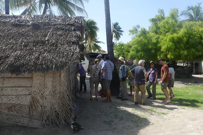 Village Tour With Witch Doctor Visit - Air-Conditioned Comfort and the 6-Hour Rhythm Starting at 8:00 AM