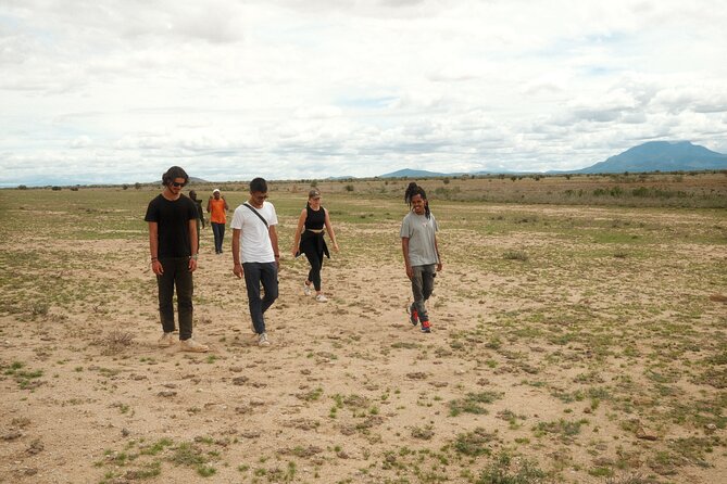 Walking Day Tour to Safari in Arusha National Park - Key highlights I’d circle before you book