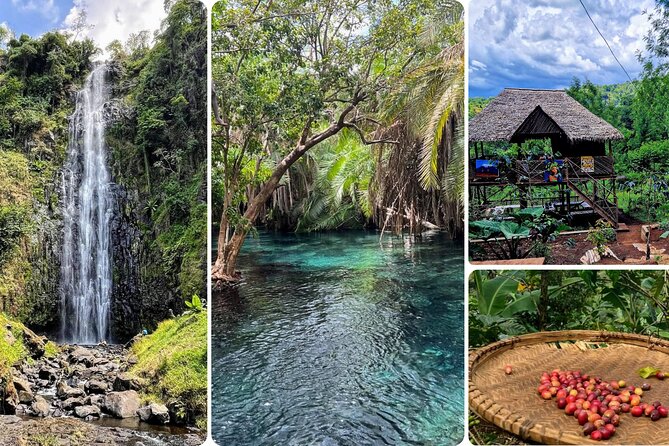 Waterfall, coffee tour & hot springs - lunch and drinks included - Key highlights worth planning for