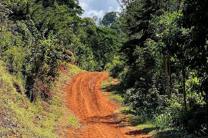 Waterfall, coffee tour & hot springs - lunch and drinks included - Kikuletwa hot springs (Chemka): warm water and practical swim advice