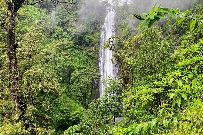 Waterfall, coffee tour & hot springs - lunch and drinks included - Timing, logistics, and how to make the day feel easy