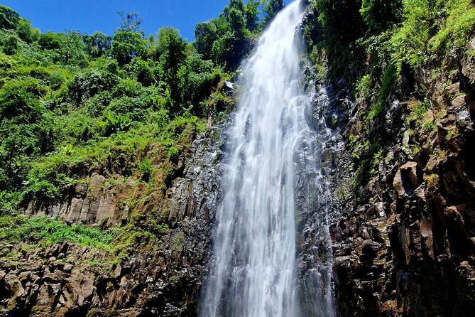 Waterfall, coffee tour & hot springs - lunch and drinks included - Who this Materuni, coffee, and hot springs tour fits best