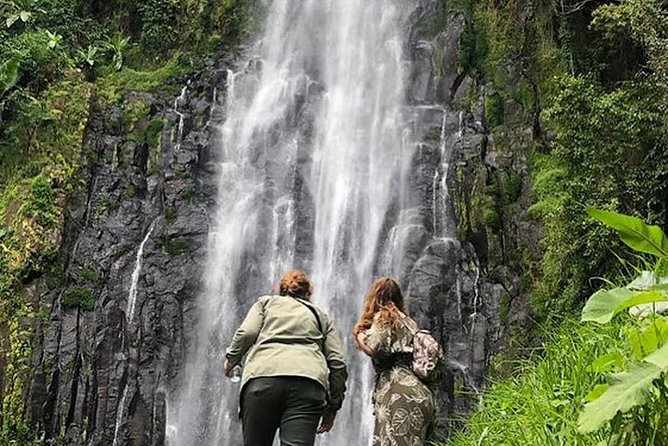 Waterfall & Coffee Walking Tour - Coffee Farm Tour, Tanzania’s Story With a Cup at the End