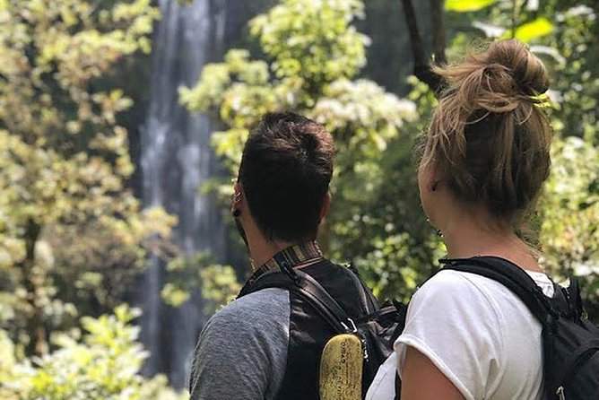Waterfall & Coffee Walking Tour - The Drive to Materuni Foothills, and Why It Sets the Mood