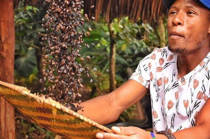 Waterfalls, Coffee, Hotsprings, Food Cuisine, & Serval Wildlife - Key points to know before you go