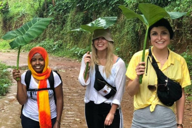 Waterfalls, Coffee, Hotsprings, Food Cuisine, & Serval Wildlife - Timing, Transportation, and What to Pack for a 10 to 12 Hour Day