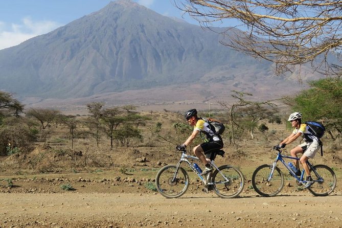 West Kilimanjaro cycling Adventures - Wildlife spotting strategy: where you can look and when to pay attention