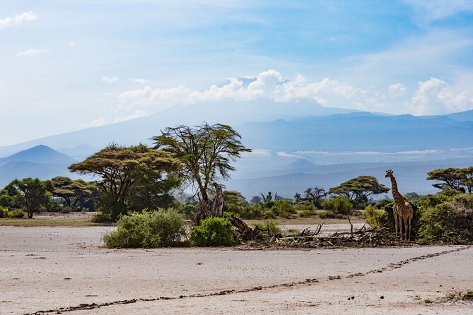 West Kilimanjaro cycling Adventures - Price and value: what you get for $666.67 per person