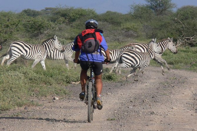 West Kilimanjaro cycling Adventures - Bikes, helmets, and the support vehicle: why this ride feels safer than you expect