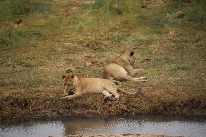 Wildlife Extravaganza: Manyara, Tarangire & Ngorongoro in 3 Days - Tarangire National Park: Camping Night and a Sunrise Bush Breakfast