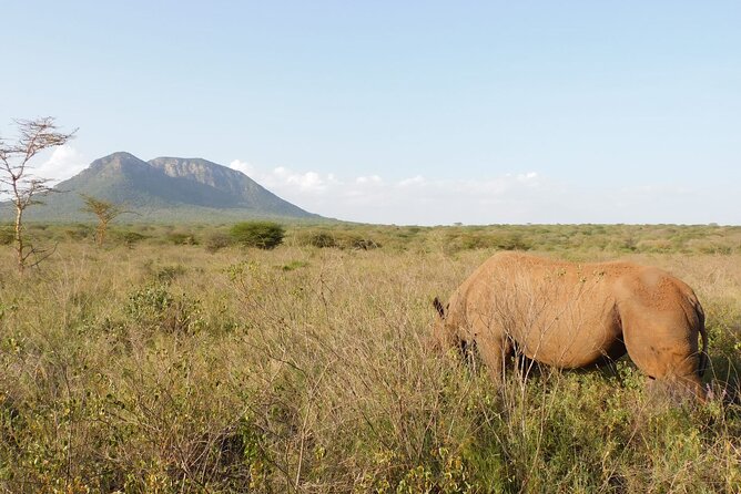 Wildlife Safari Tanzania - Day 5: Arusha Transfer and Getting to Your Departure Smoothly