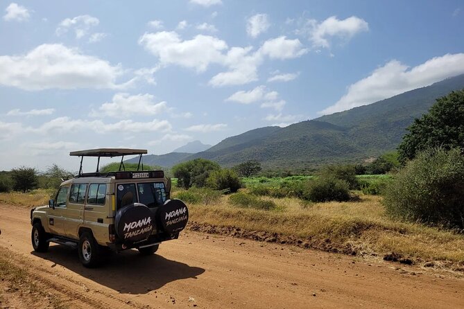 Wildlife Safari Tanzania - Guide and Team: The Difference Between a Good Safari and a Great One