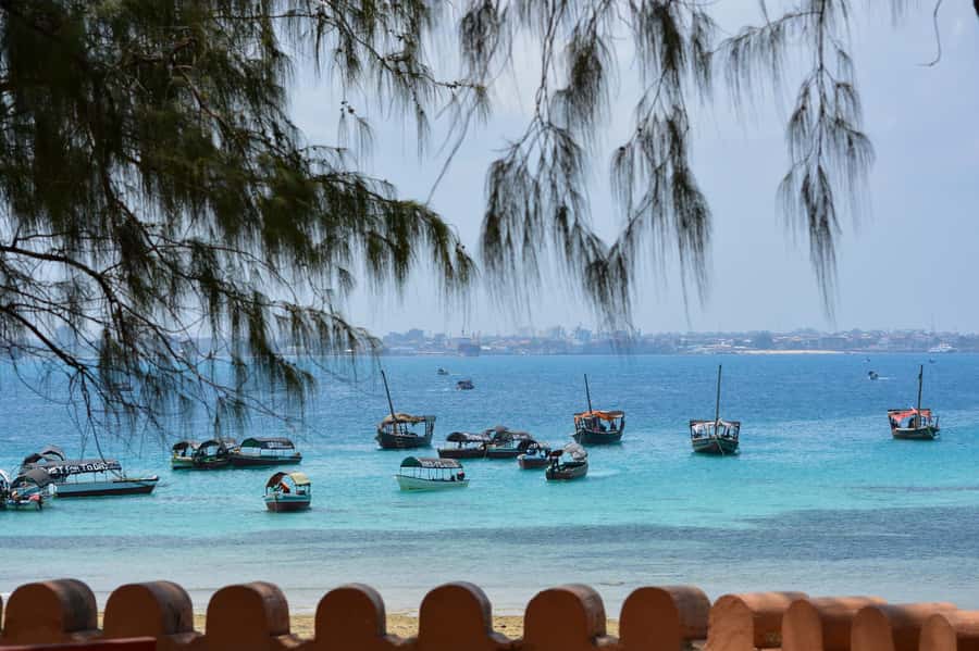 Zanzibar : 1 Day Blue Safari, Blue horizon experience - Sandbank Break and Photo Stops: Where the Day Gets Real