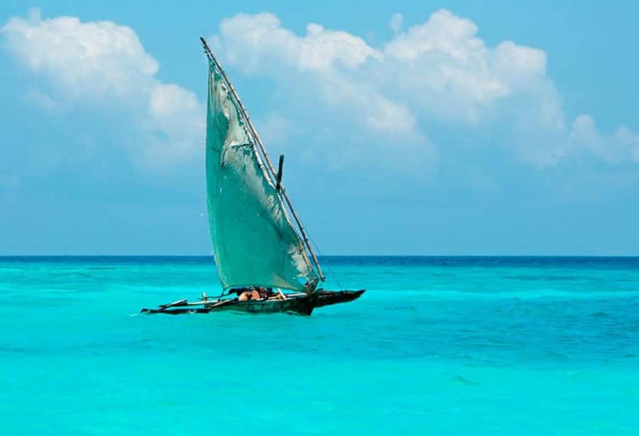 Zanzibar : 1 Day Blue Safari, Blue horizon experience - The Baobab Tree Walk on Kwale Island, a Fun Group Challenge