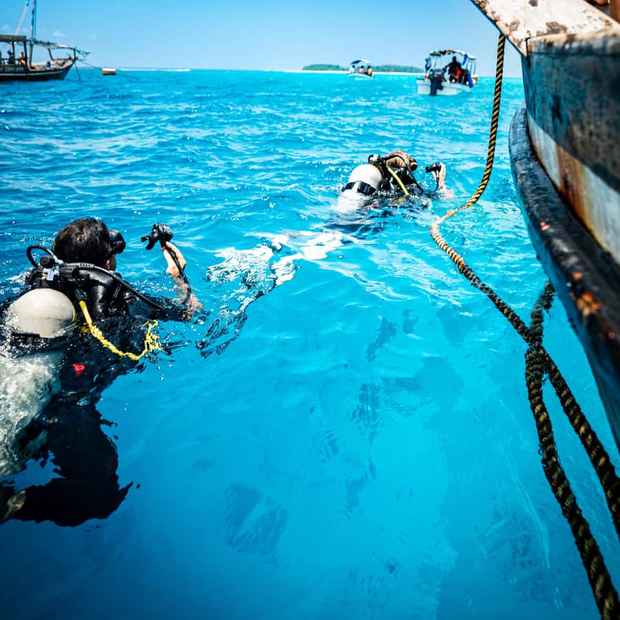 Zanzibar: 1 Day Blue Trip with 2 Stunning Scuba Dives - Key highlights to notice before you go