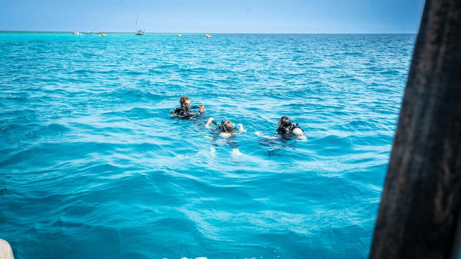 Zanzibar: 1 Day Blue Trip with 2 Stunning Scuba Dives - Should you book this Zanzibar 1-Day Blue Trip?