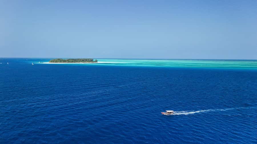 Zanzibar 1 Day Scuba Diving Course for Beginners with Lunch - Price and Value: Is $200 Fair for a 6-Hour Beginner Course?